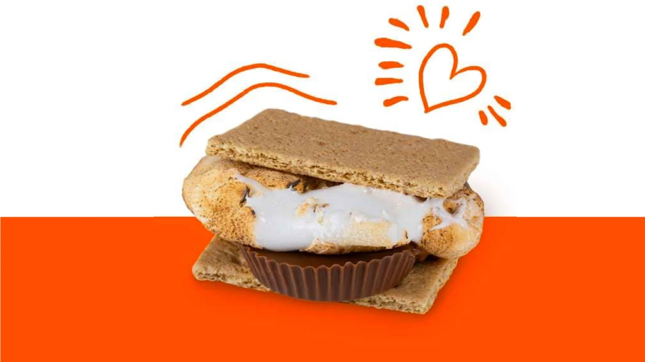 S'mores Beyond the Basics cover photo collage
