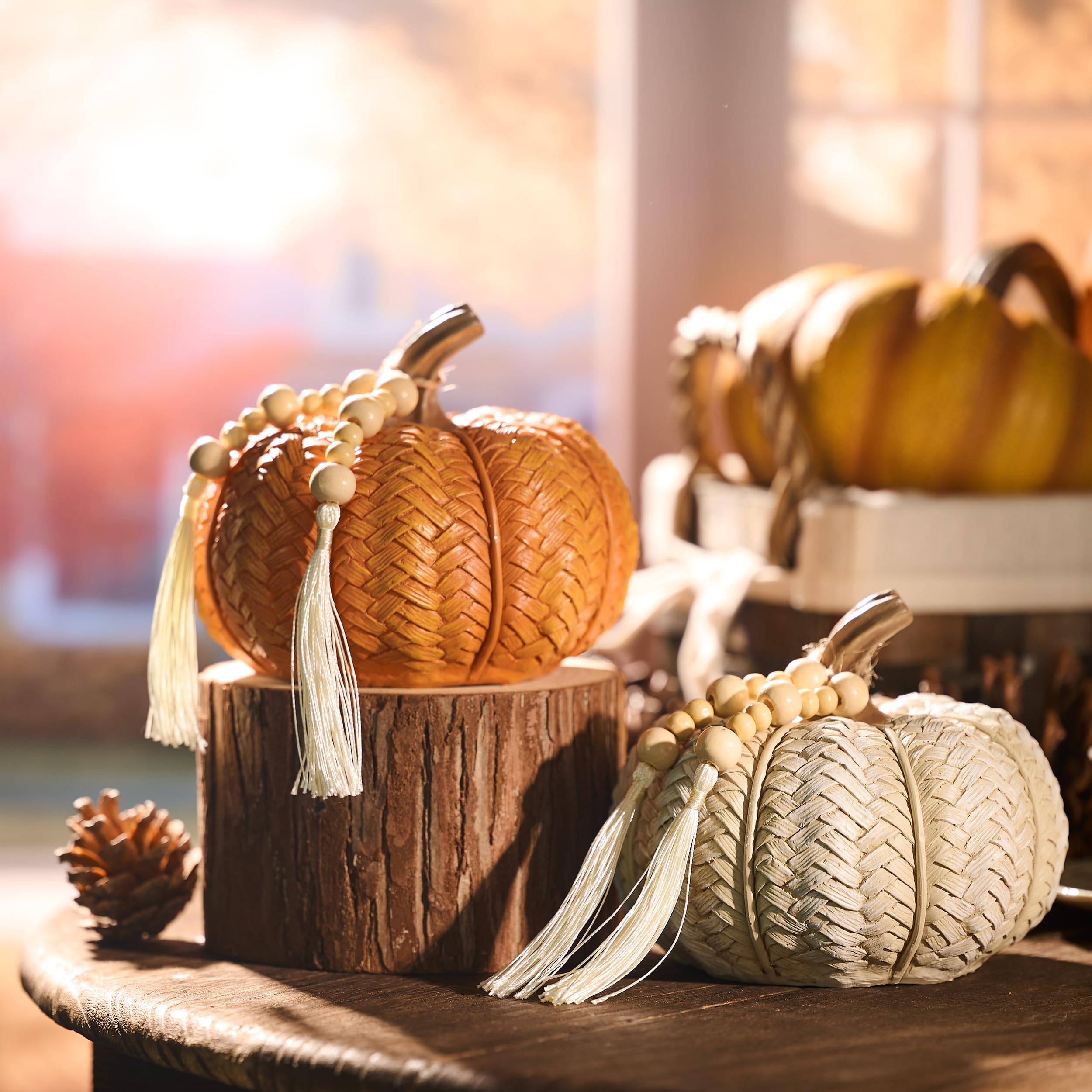It's the FALL-IDAYS! cover photo collage