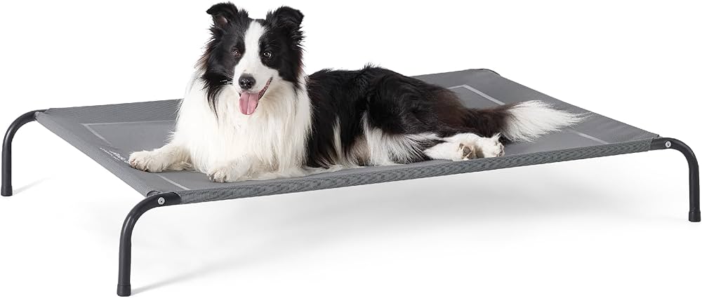 Favorite Dog Products cover photo collage