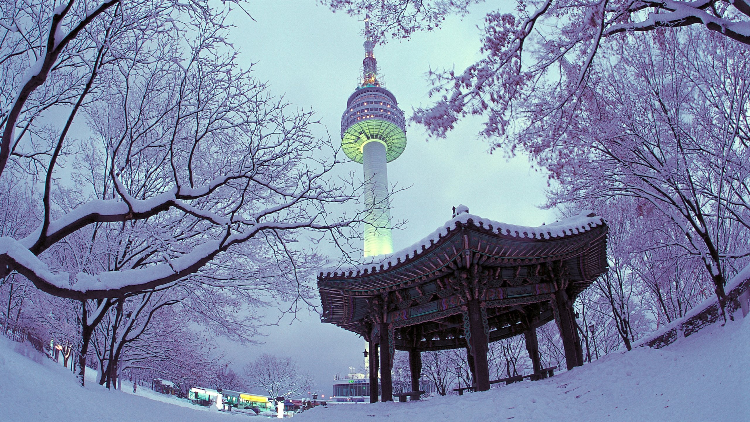 Travel Recommendations for a Winter Trip to Seoul cover photo collage