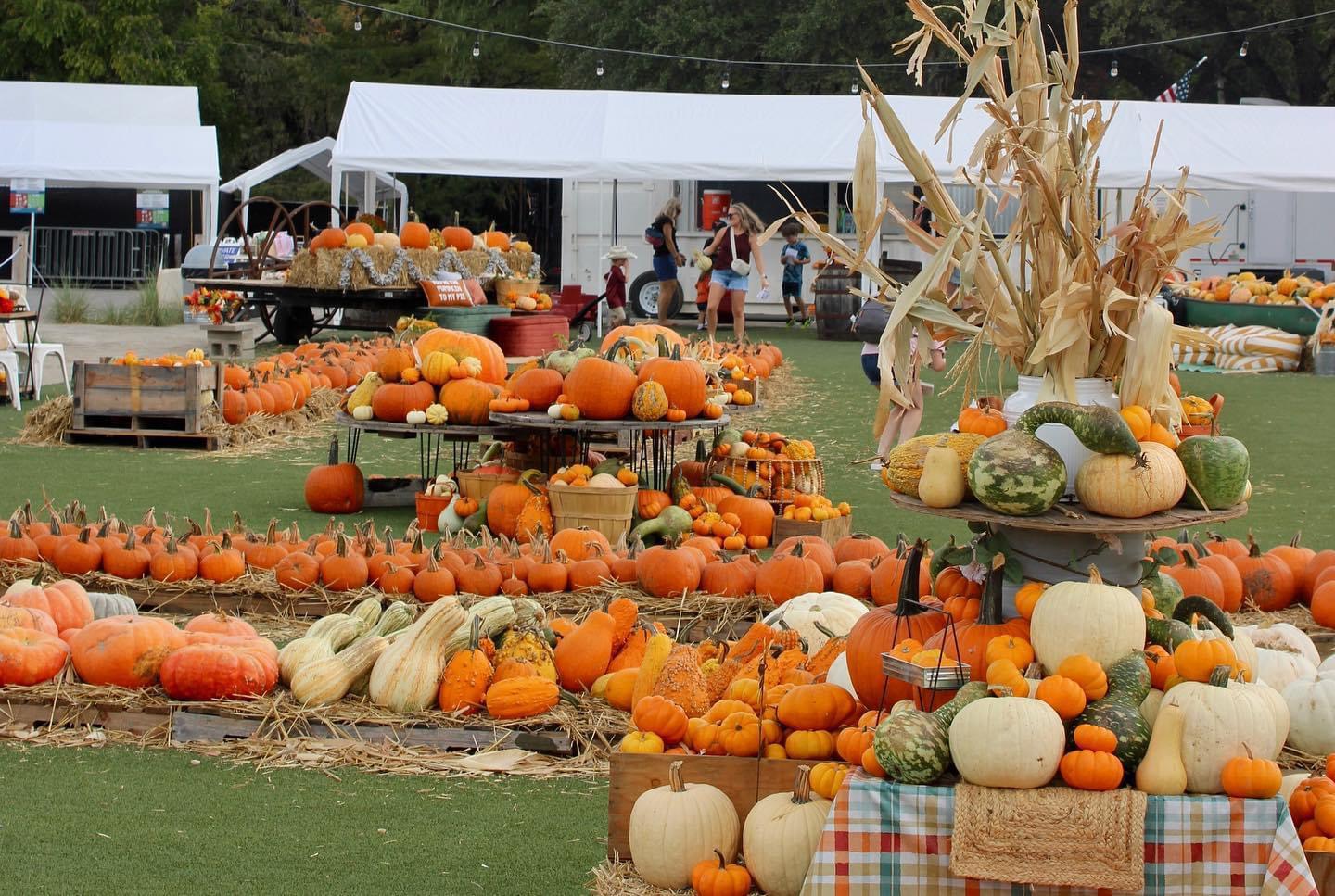 Pumpkin Patches to Visit this Fall! cover photo collage
