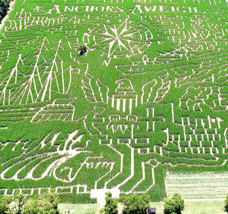 Anytime/Funtime Activities for the Kiddos cover photo collage