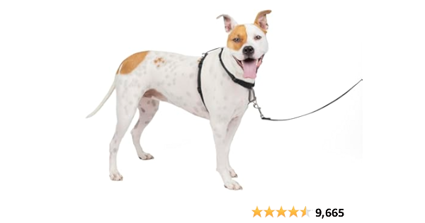 The Best Dog Products cover photo collage