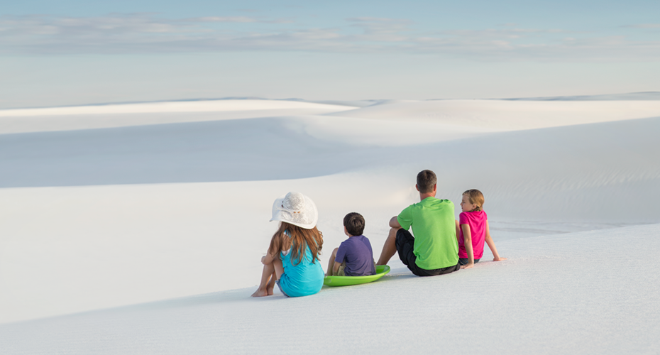 New Mexico Road Trip For All Ages cover photo collage
