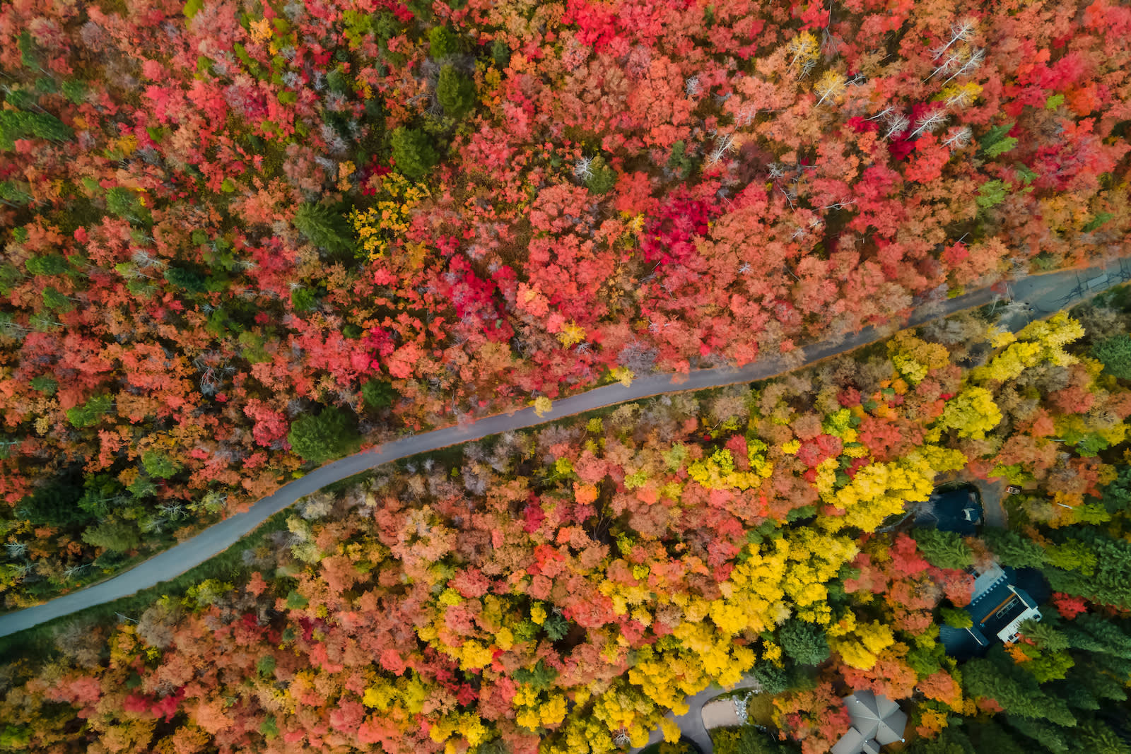 Fall Bucket List around Utah County cover photo collage