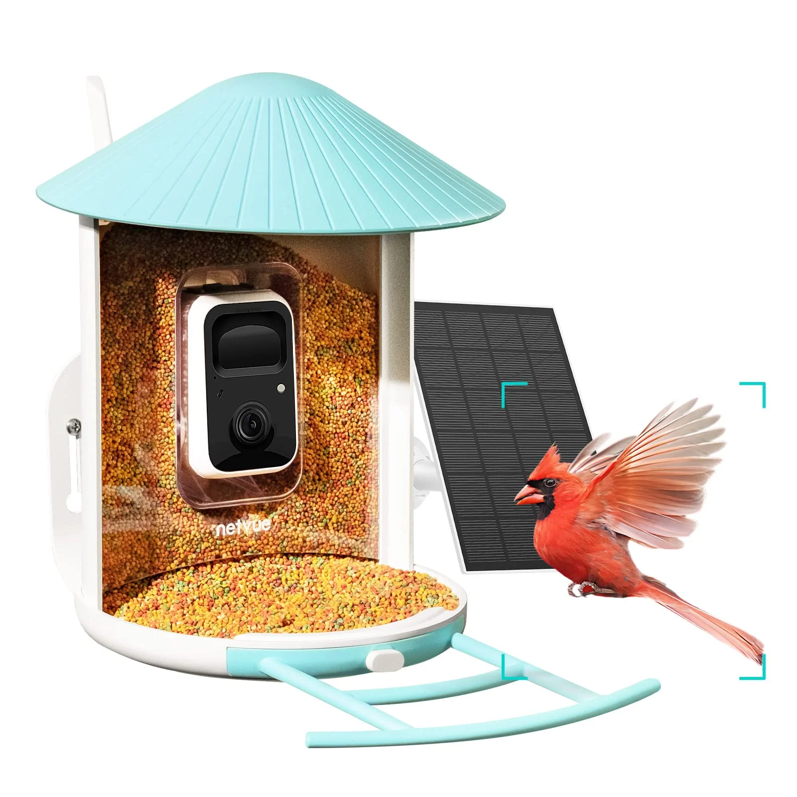 Feathered Friends Gift Guide- Gifts for Bird Lovers! cover photo collage