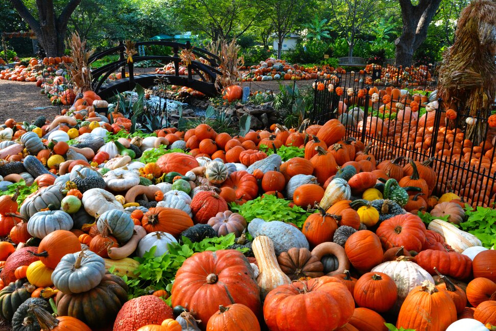 Autumn to-do list cover photo collage