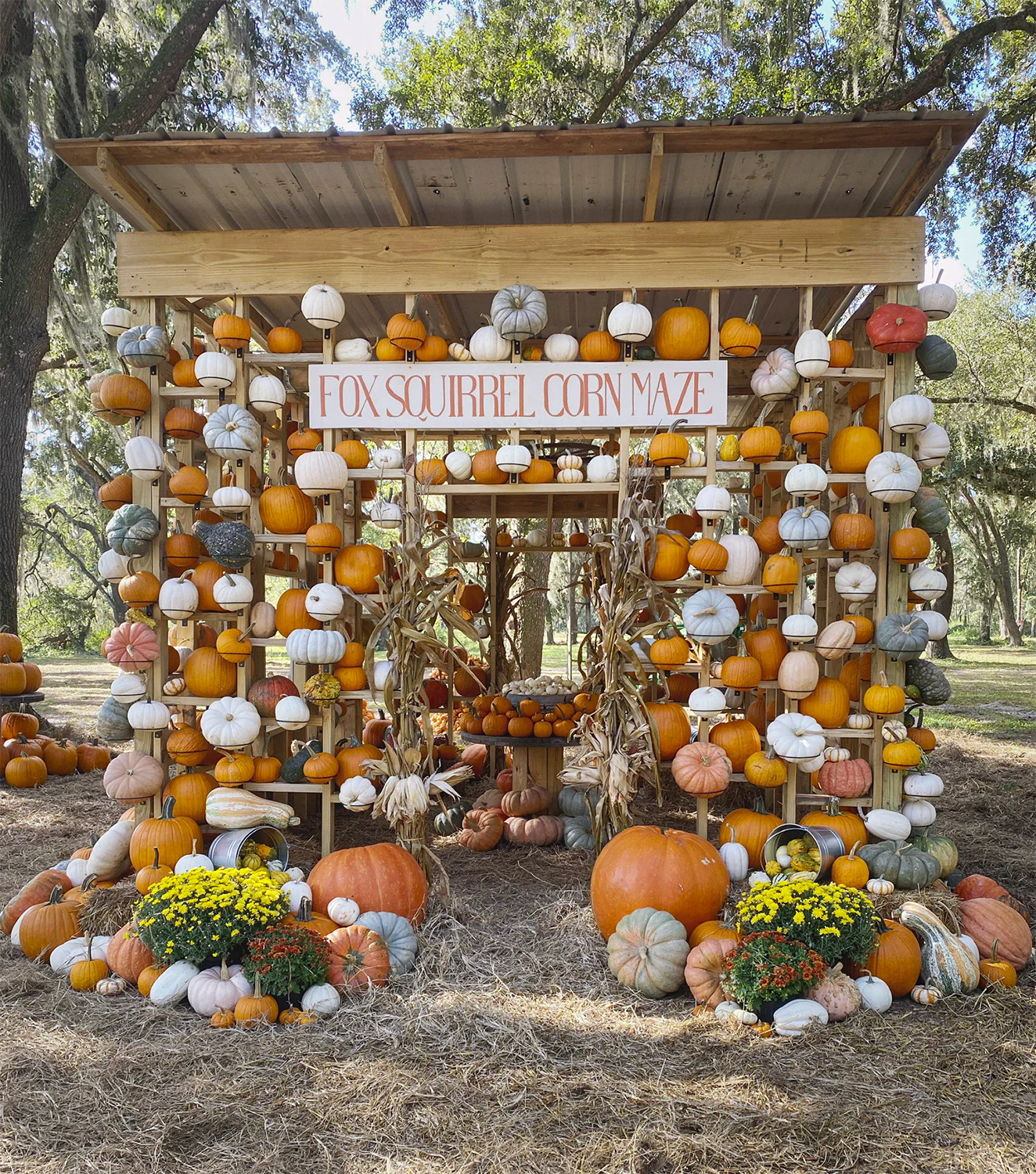 Fall activities in Central Florida cover photo collage