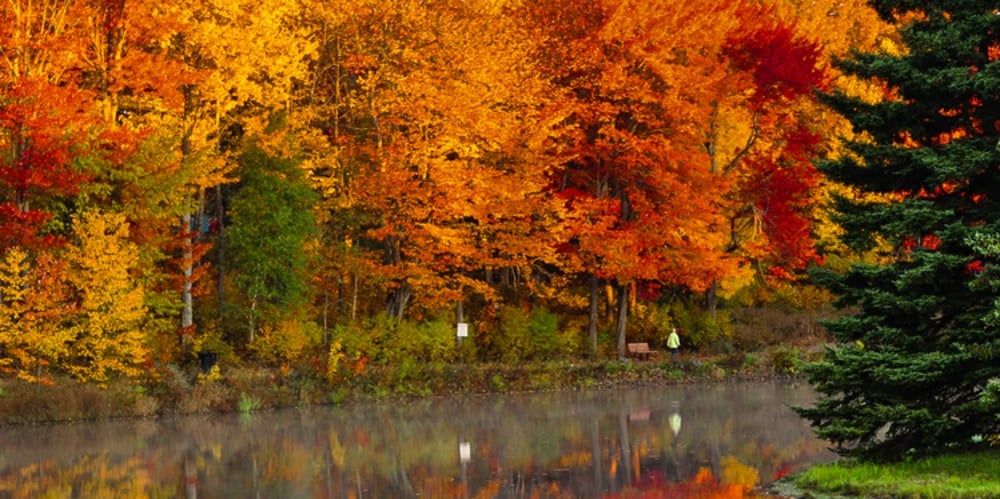 My Favorite Fall Activities in NB, Canada cover photo collage