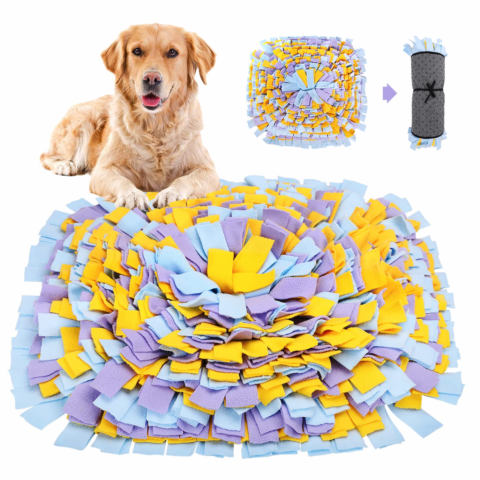 Pawsome things to keep your dog entertained for hours cover photo collage