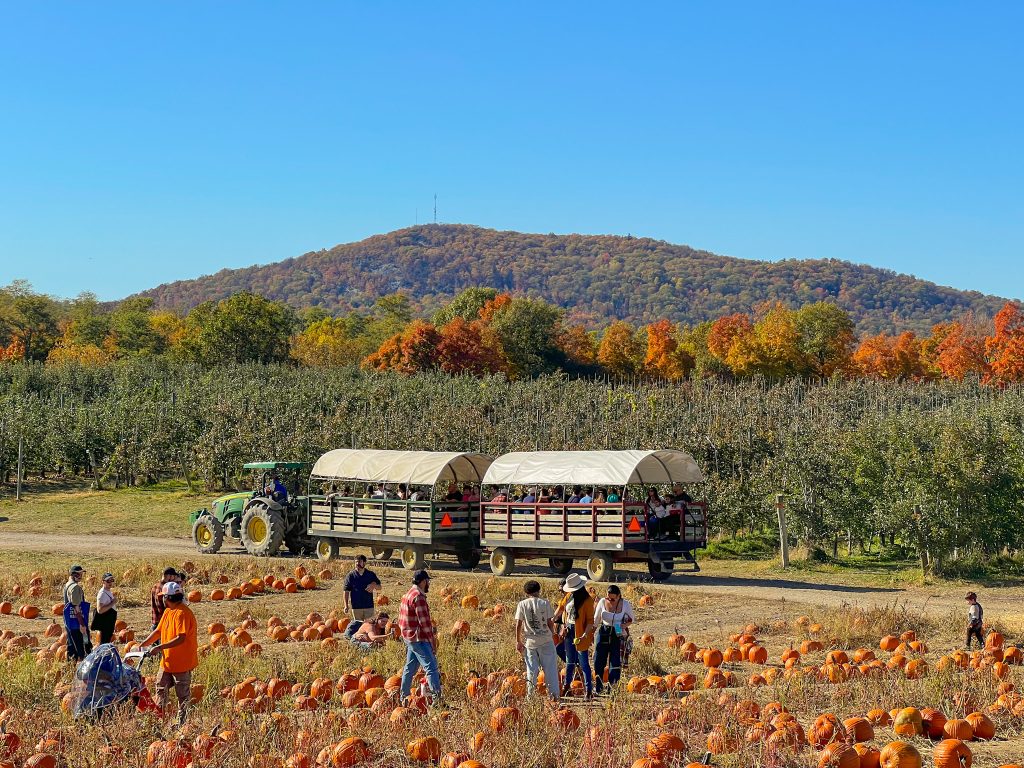 Places to Visit in the Fall from NYC cover photo collage