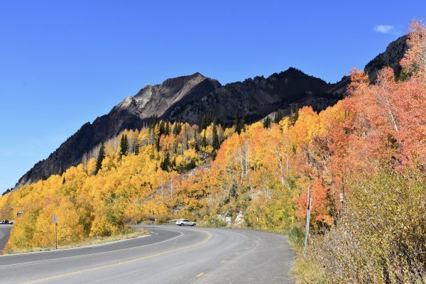 Fall Bucket-list Activities for Everyone! cover photo collage
