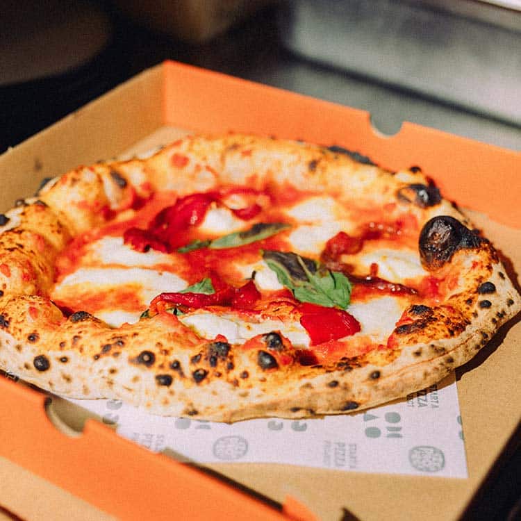 Best Food & Drinks in Amsterdam cover photo collage