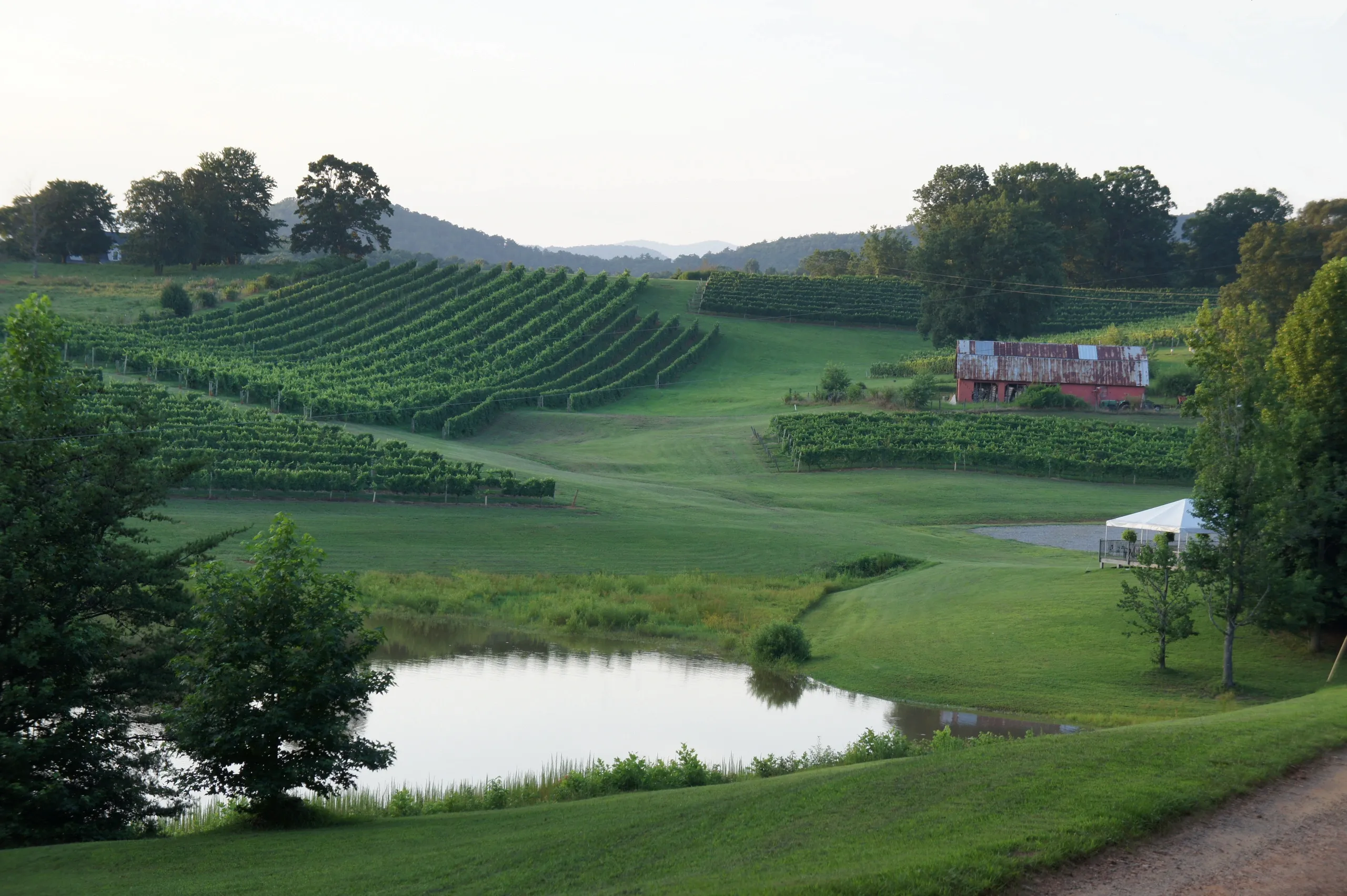 Sip & Savor: North Georgia’s Must-Visit Wineries cover photo collage
