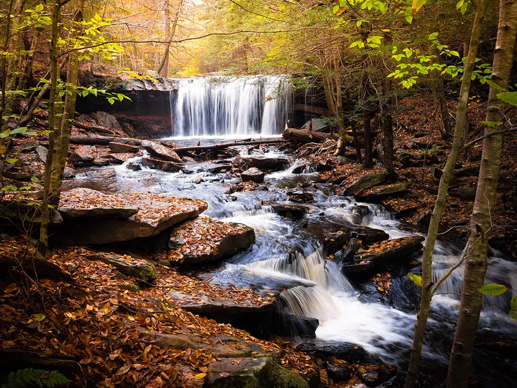 FALL in love with fall in Pennsylvania cover photo collage