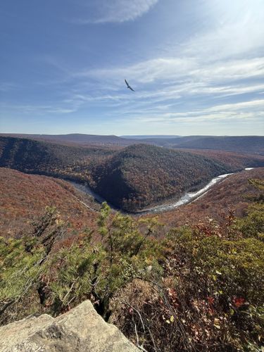 Leaf Chasers cover photo collage