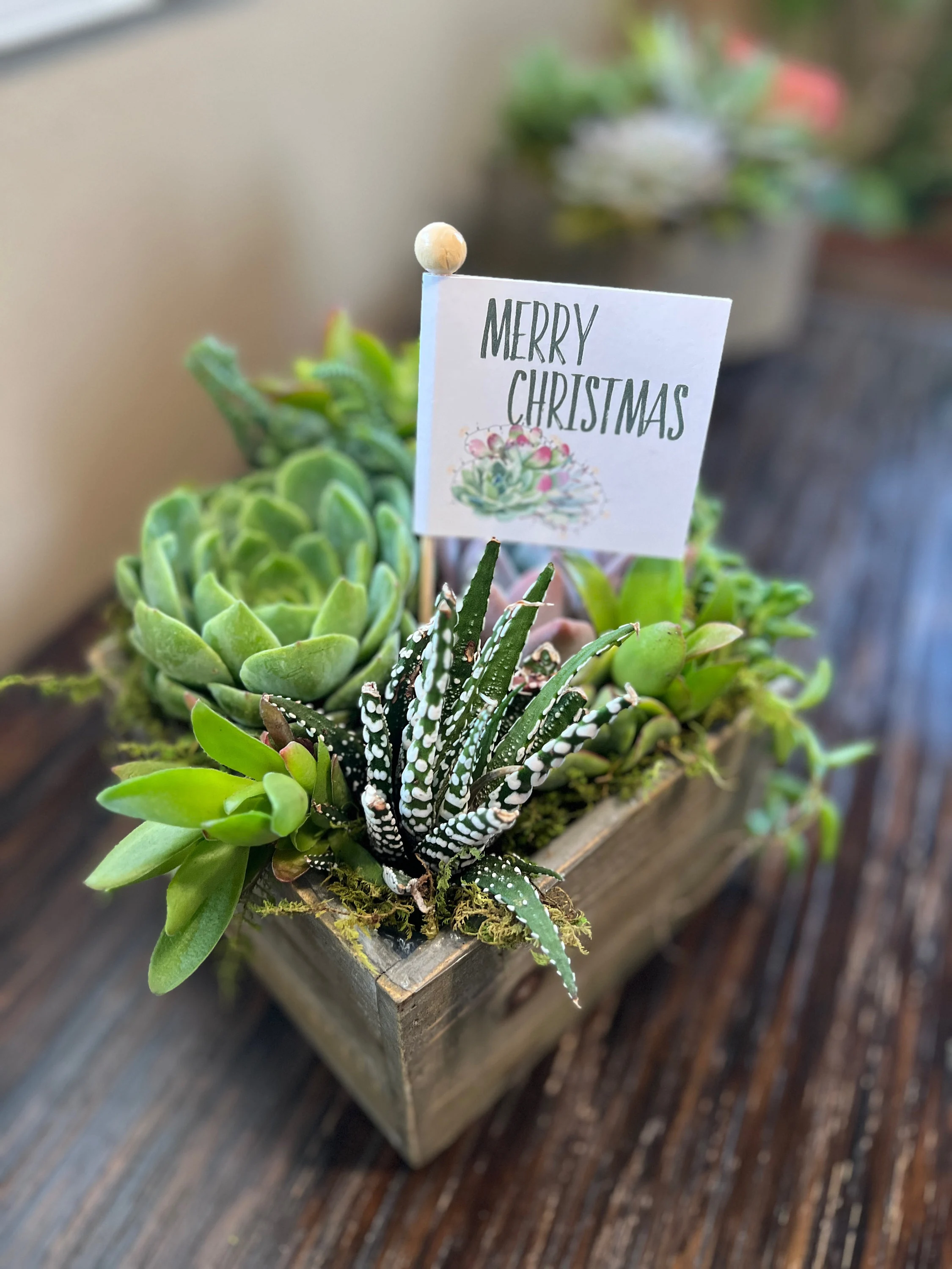 Best Gifts For The Plant Lover