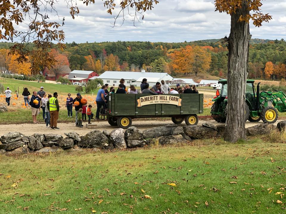 The Annual Fall Bucketlist🍂🐿️ cover photo collage