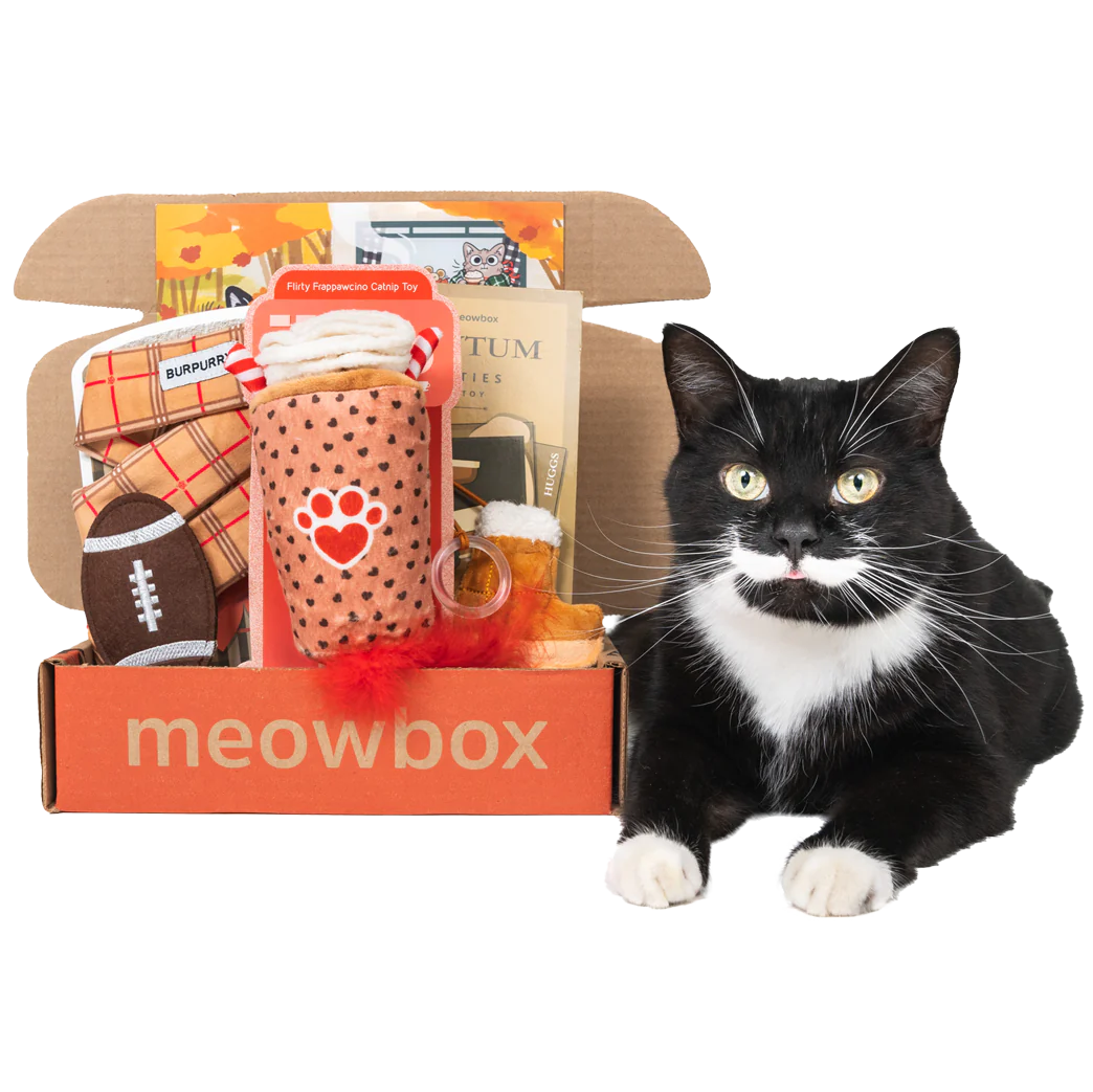 Pet essentials  😻 🐕 cover photo collage