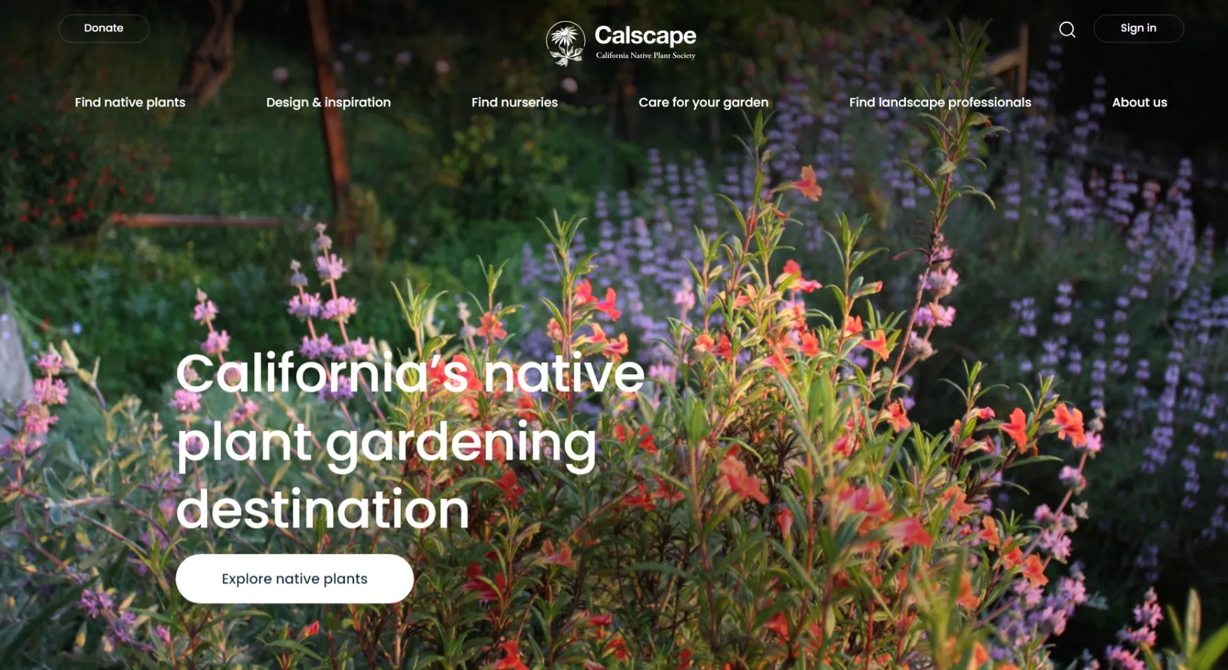 How To: Plant a Native SoCal Garden cover photo collage