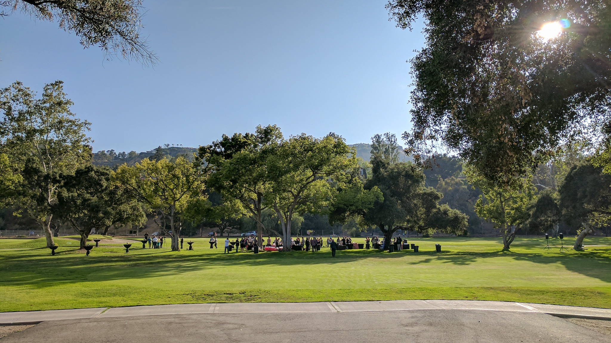 Open lawn and mature shade trees in Brookside Park