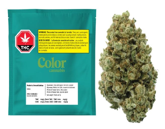 Ms.Greenies Cannabis Corner💨💚🌱 cover photo collage