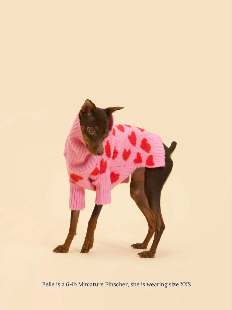 UPDATED! hepburn approved pet items cover photo collage
