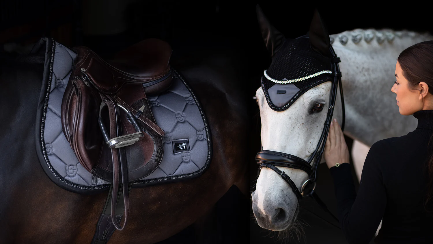 Equine Essentials cover photo collage