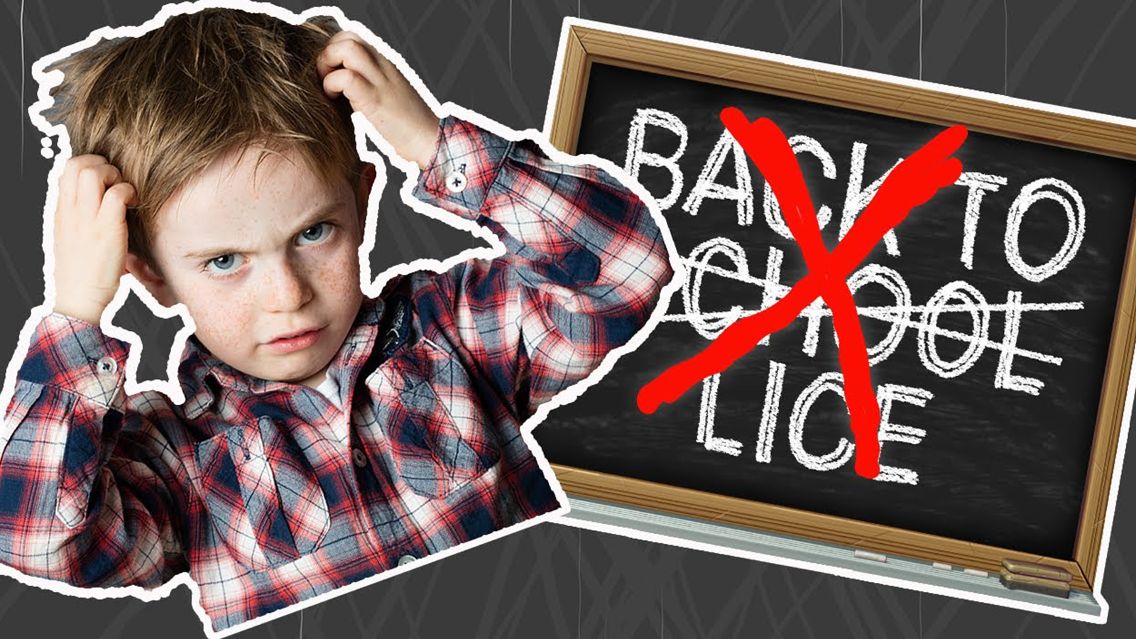 Avoid/Destroy Lice cover photo collage