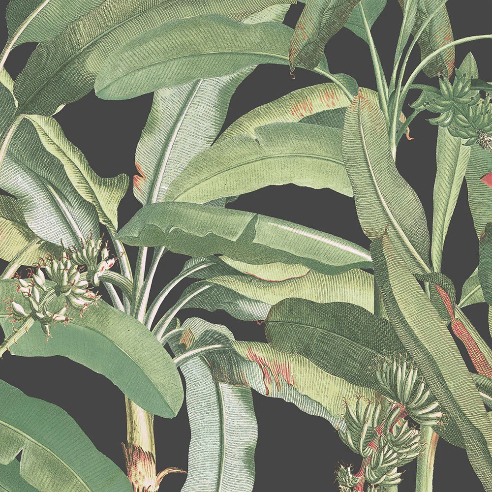 Budget Jungle Bathroom Makeover cover photo collage