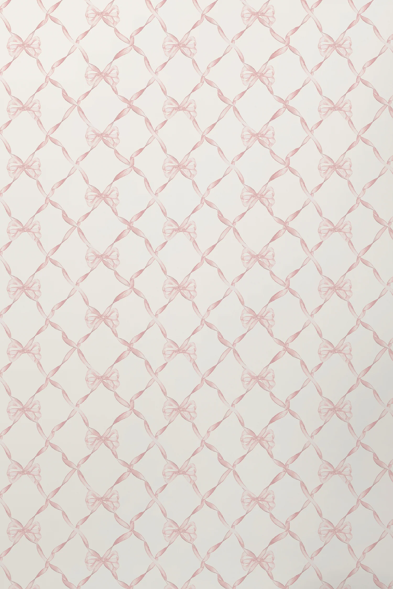 Put A Bow On It: Coquette Decor Items cover photo collage