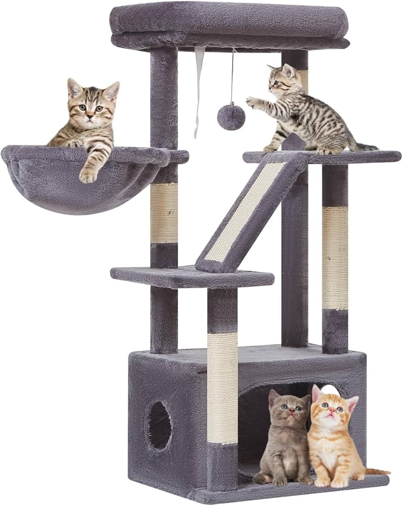 Cat essentials cover photo collage