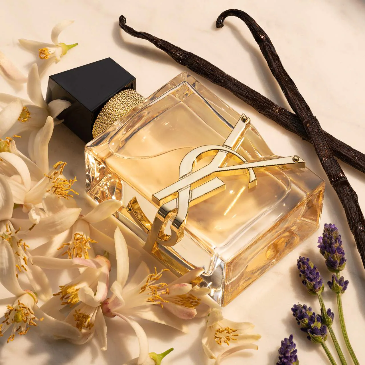 Affordable & Expensive Perfumes💐 cover photo collage
