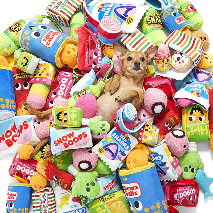 Pawsome - All things for your pets cover photo collage