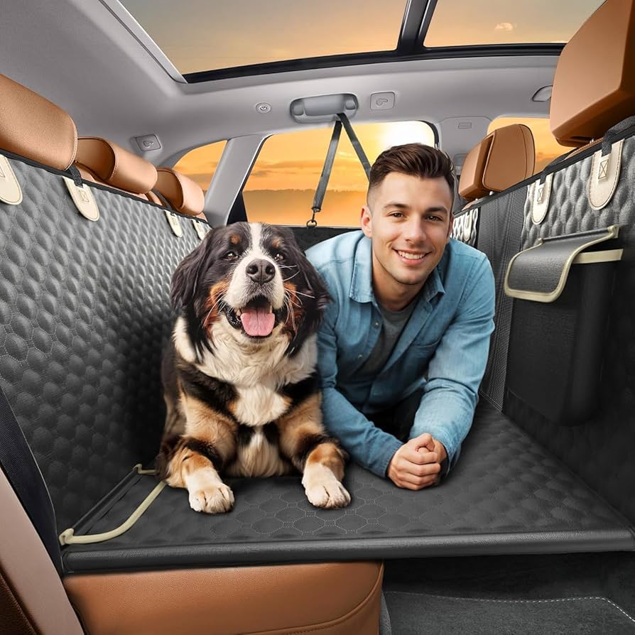 Must haves to travel with your dog! cover photo collage