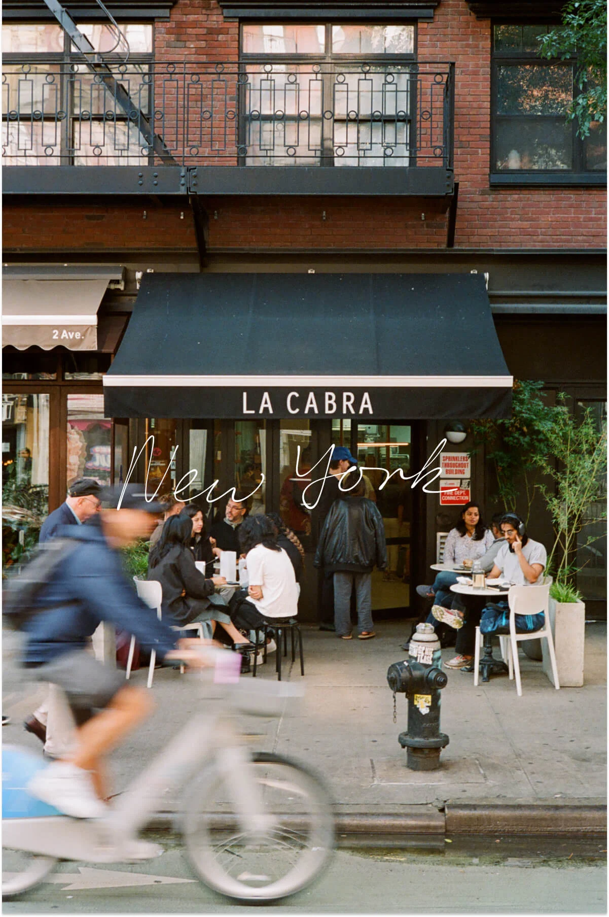 Top Spots to Grab a Coffee in New York City Right Now cover photo collage