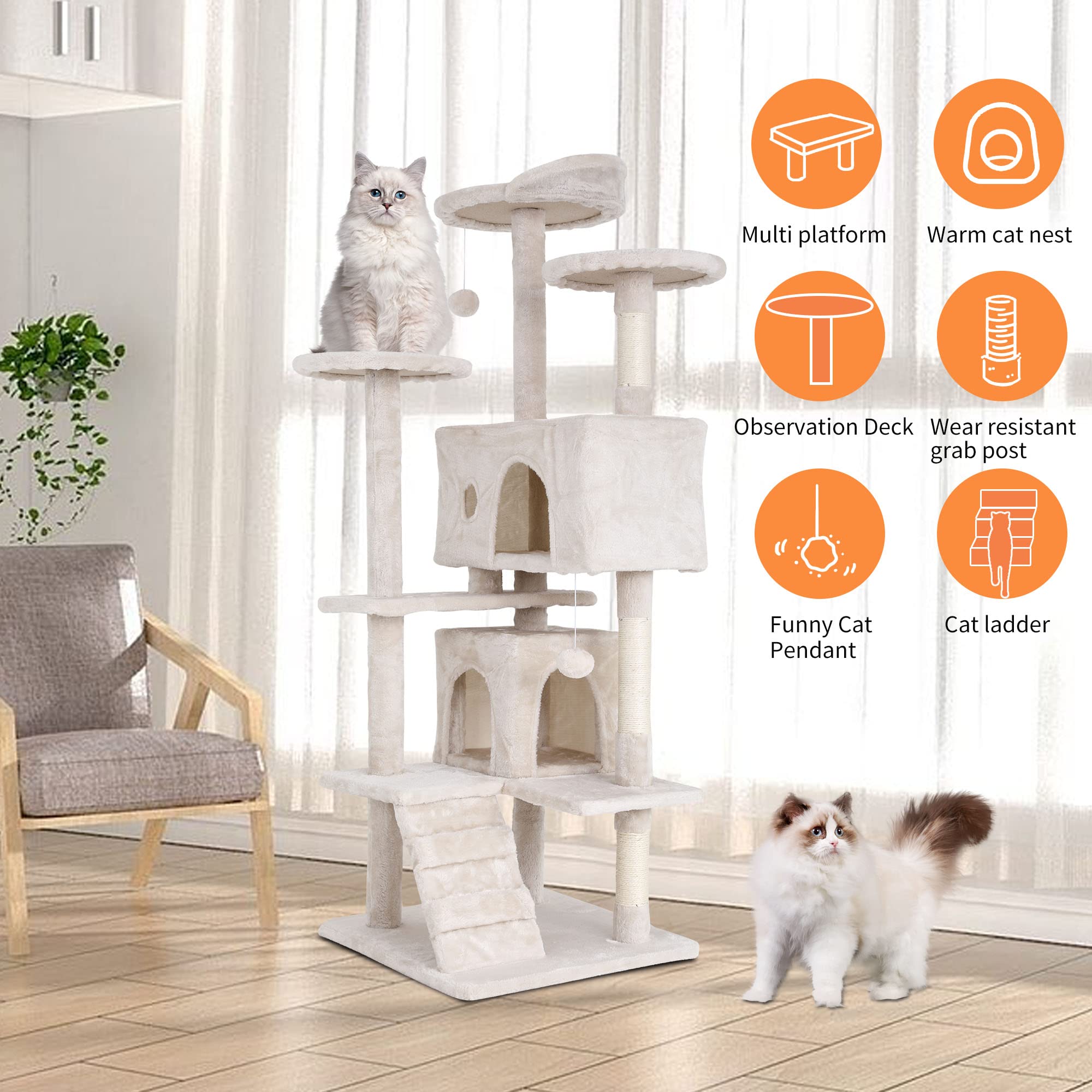 9 lives? Try 900! Fav kitty wellness products🐾💕 cover photo collage