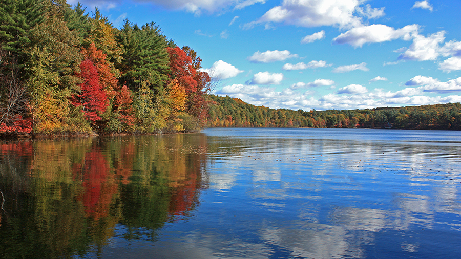 Things to Do in Concord and Lexington, MA cover photo collage