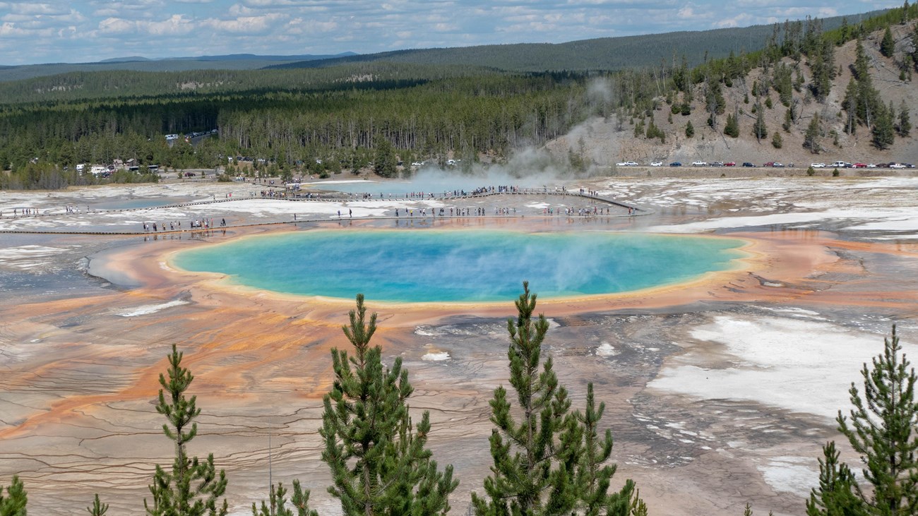Yellowstone National Park: Family Friendly cover photo collage
