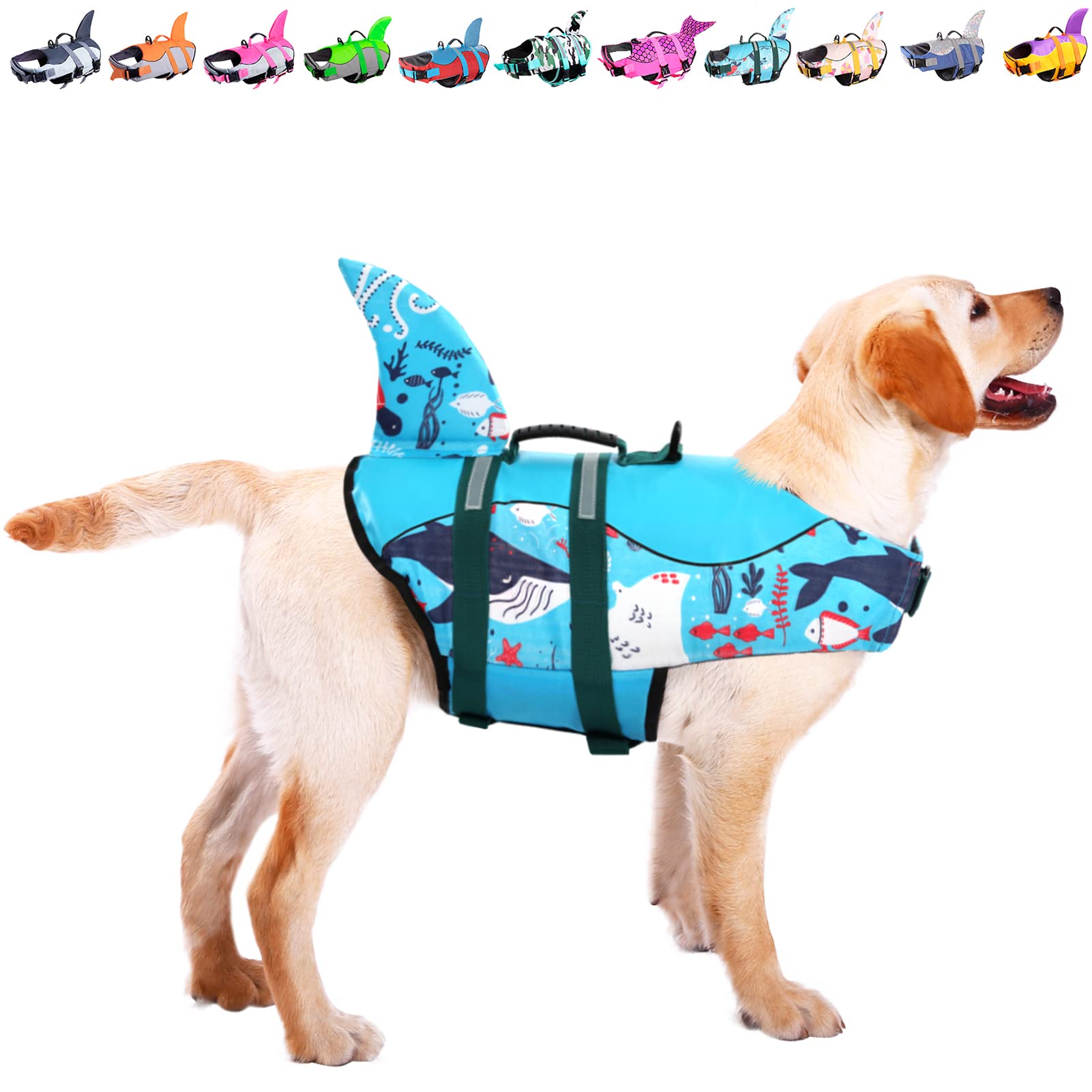 Must-Have Dog Products cover photo collage