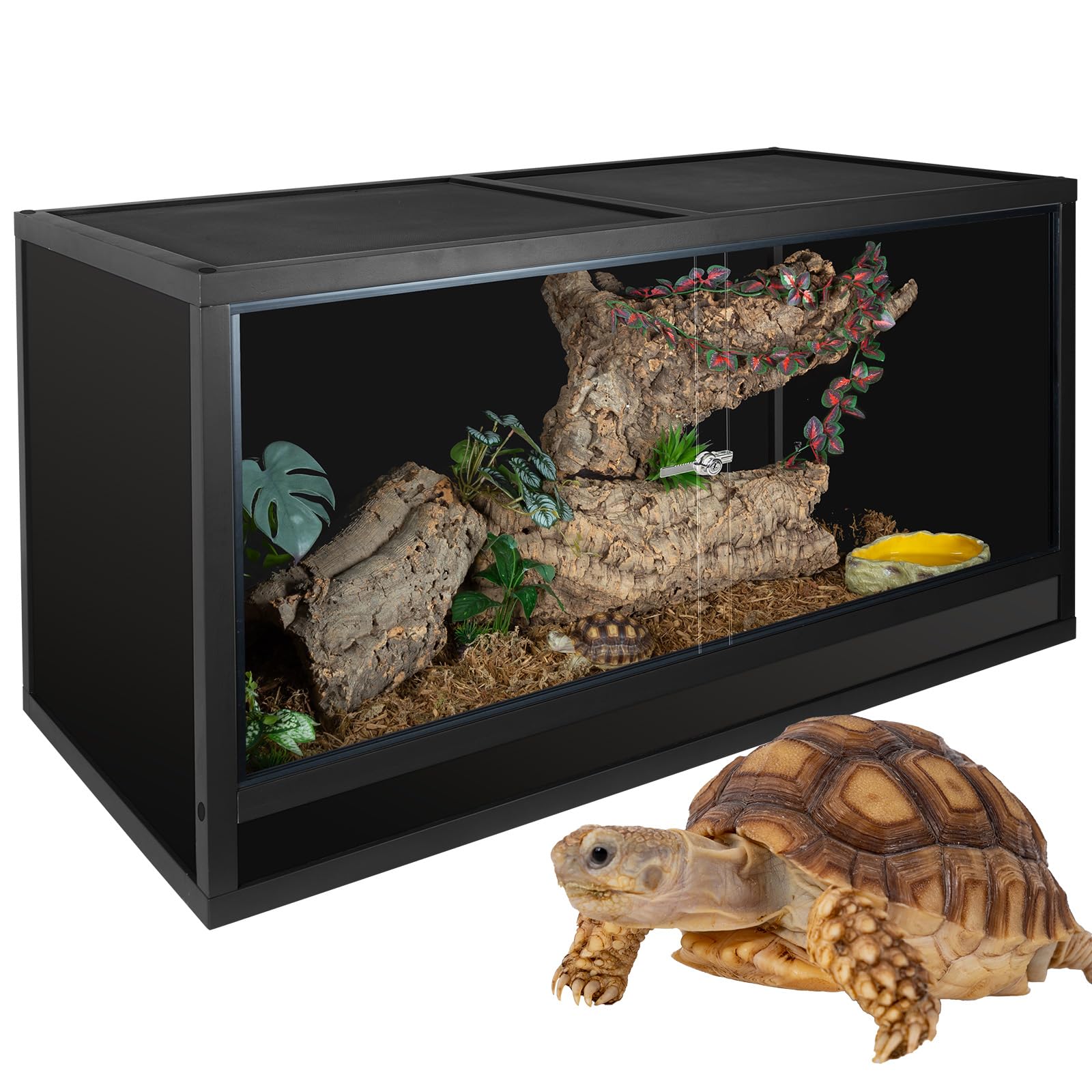 Bearded Dragon Supplies cover photo collage