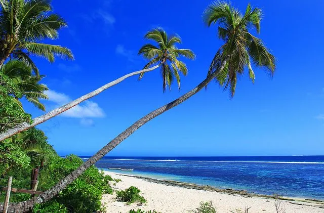 TONGA VISITOR GUIDE | Humpback Whales, Best Recs & Stunning Scenery cover photo collage