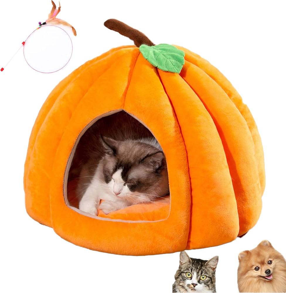 Our Furry Siblings' Favorites! cover photo collage