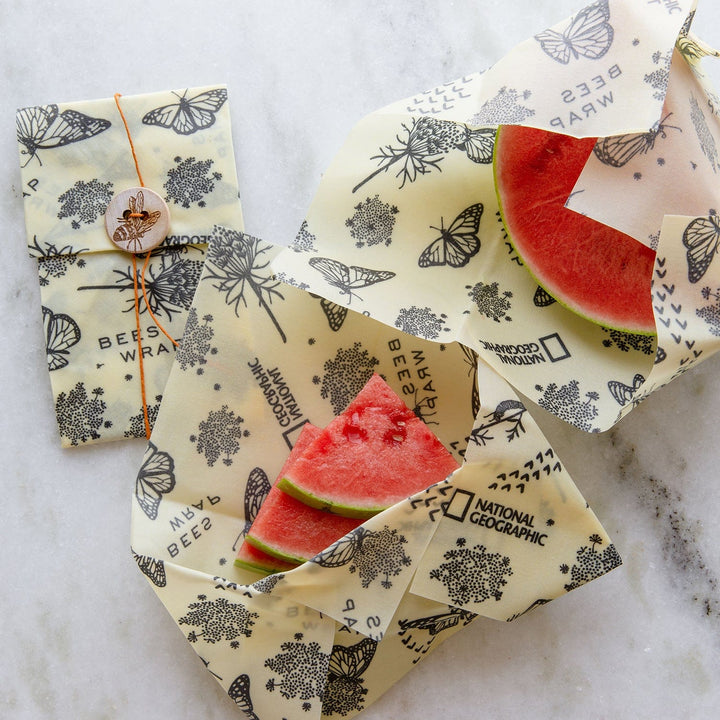 My Fave Sustainable Swaps cover photo collage