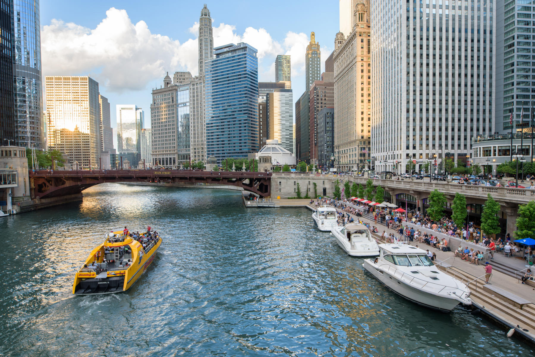 Chicago Spots cover photo collage