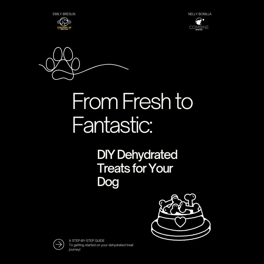 Make Your Own Dog Treats: Free Beginners Guide and cooking equipment suggestions cover photo collage