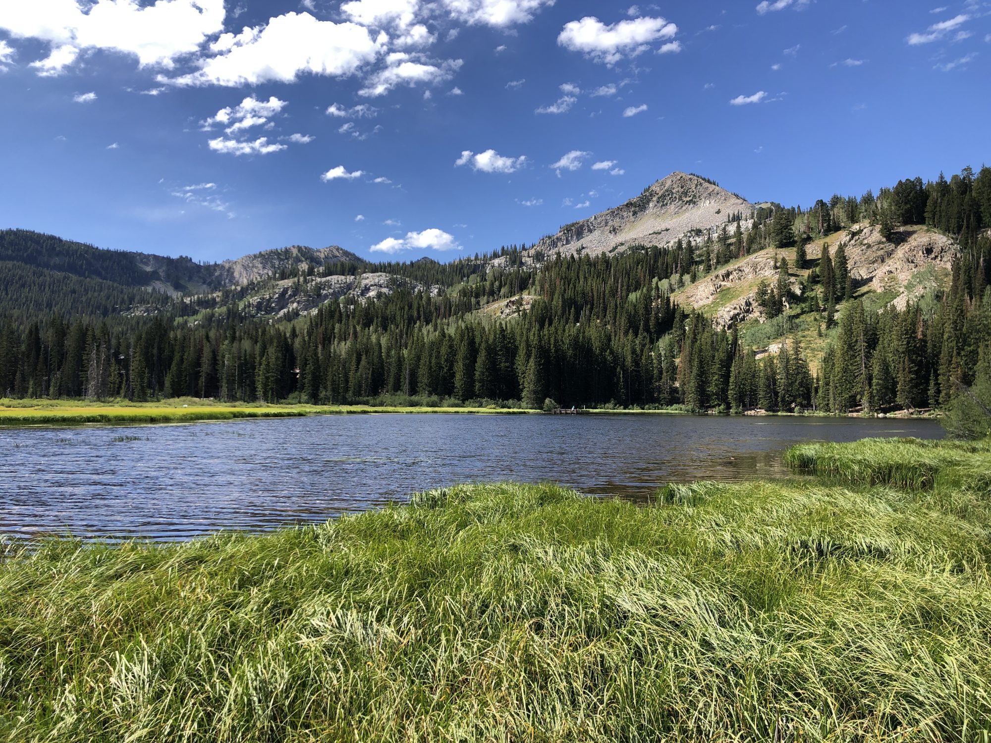 Family friendly trails near Salt Lake City- we took to the mountains during the pandemic and these are the trails we hiked each week cover photo collage