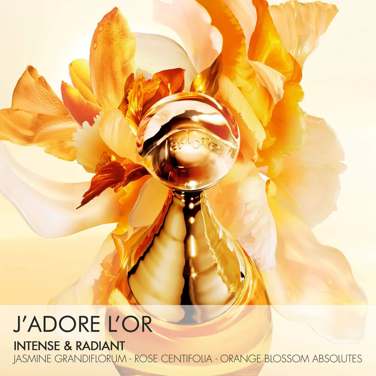 The Ultimate List of Delectable Perfumes You'll Obsess Over cover photo collage