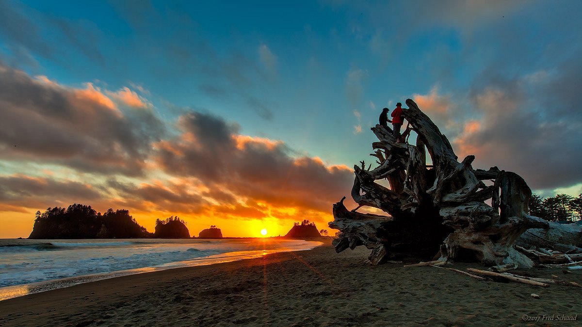 Beaches in Washington State cover photo collage