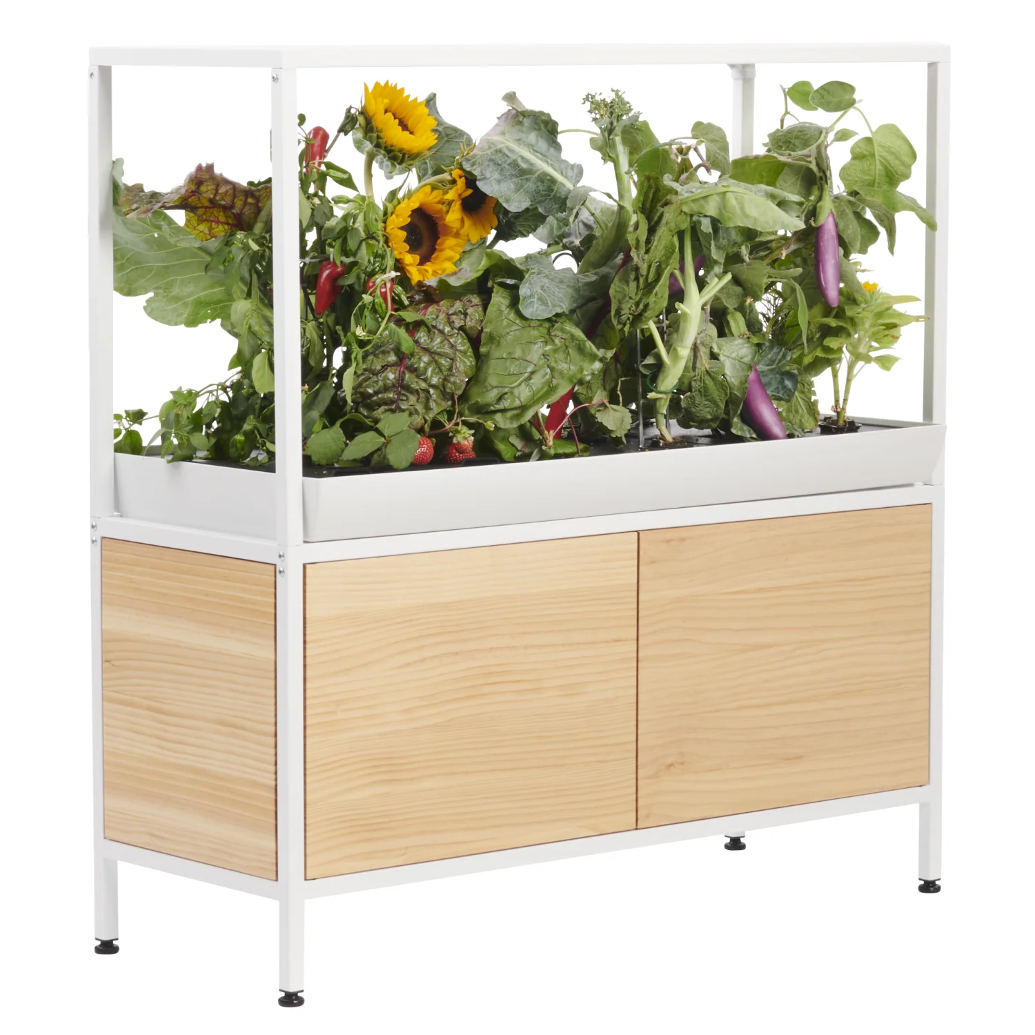 Next-Level Gardening Tools for Your Garden cover photo collage